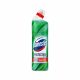 Domestos Protection Eucalyptus & Wild Mint klórmentes fertőtlenítő, friss illattal (700 ml)